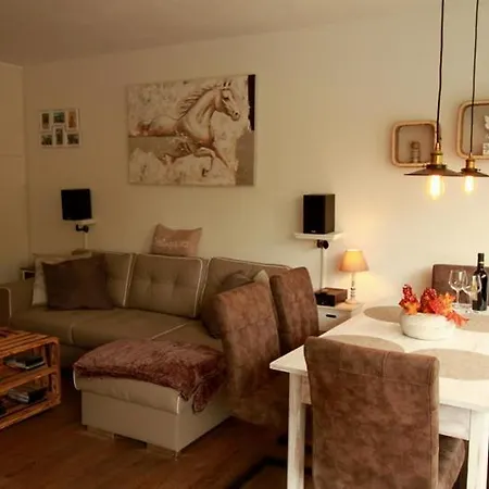 Th 625 Panoramic Hohegeiss Braunlage