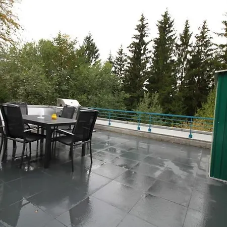 Th 625 Panoramic Hohegeiss 公寓 *